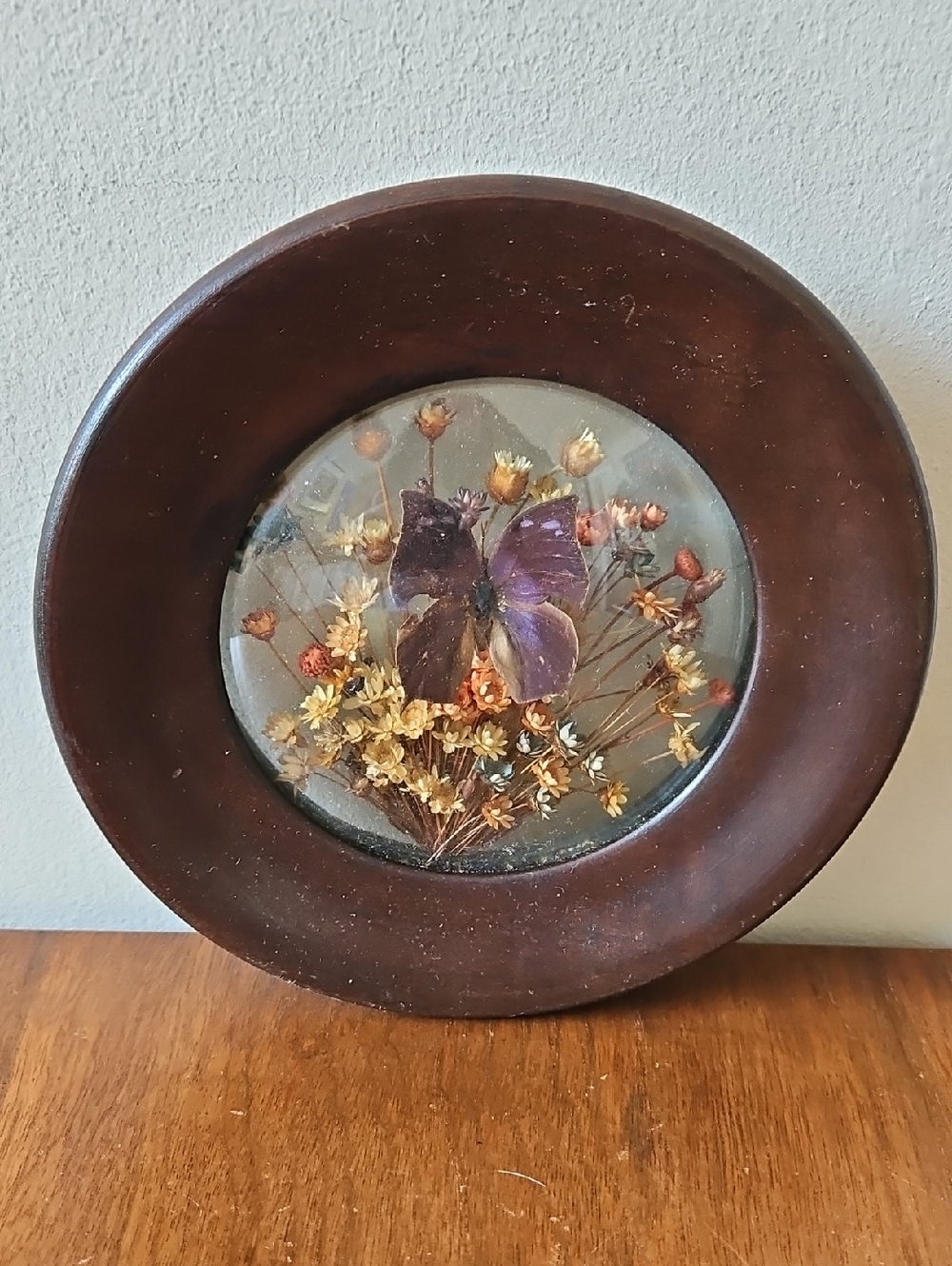 Vintage Dunston Butterfly & Dried Flowers Brazilla Collection Wall Decor